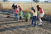 Imagen equipo DMC Plantando Arboles